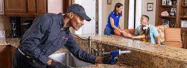 Best Residential Pest Control  in Lynden, WA